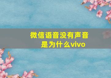 微信语音没有声音是为什么vivo