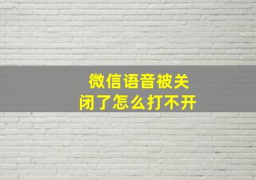 微信语音被关闭了怎么打不开