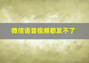 微信语音视频都发不了