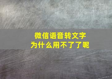 微信语音转文字为什么用不了了呢