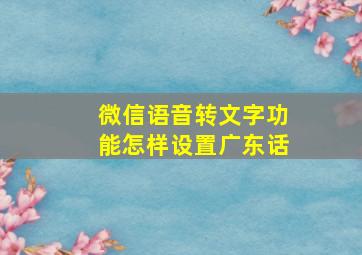 微信语音转文字功能怎样设置广东话