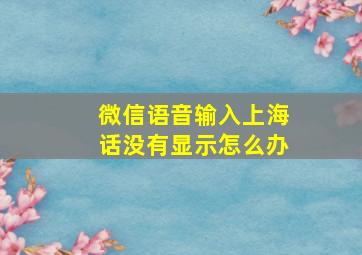 微信语音输入上海话没有显示怎么办