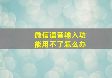 微信语音输入功能用不了怎么办