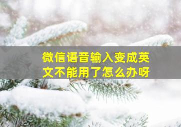 微信语音输入变成英文不能用了怎么办呀