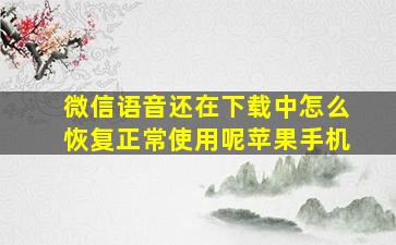 微信语音还在下载中怎么恢复正常使用呢苹果手机