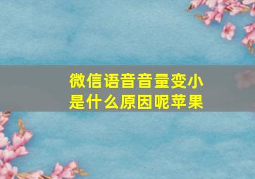 微信语音音量变小是什么原因呢苹果