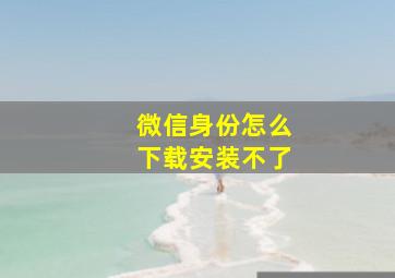 微信身份怎么下载安装不了