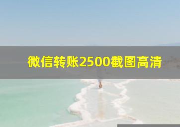 微信转账2500截图高清