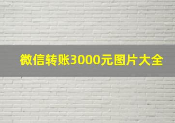 微信转账3000元图片大全