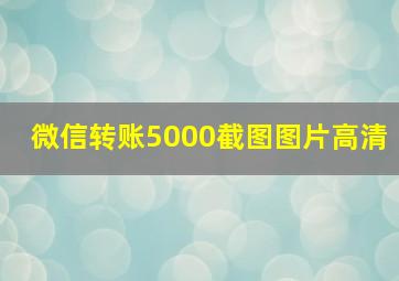 微信转账5000截图图片高清