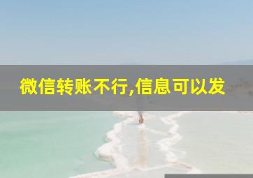 微信转账不行,信息可以发