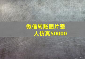 微信转账图片整人仿真50000