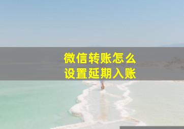 微信转账怎么设置延期入账