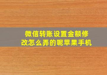 微信转账设置金额修改怎么弄的呢苹果手机