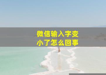 微信输入字变小了怎么回事