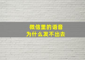 微信里的语音为什么发不出去