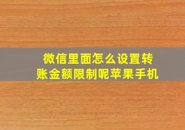 微信里面怎么设置转账金额限制呢苹果手机