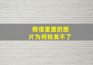 微信里面的图片为何转发不了