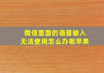 微信里面的语音输入无法使用怎么办呢苹果