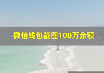 微信钱包截图100万余额