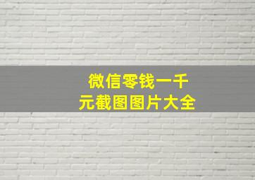 微信零钱一千元截图图片大全