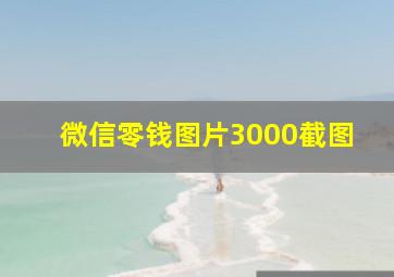 微信零钱图片3000截图