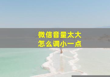 微信音量太大怎么调小一点