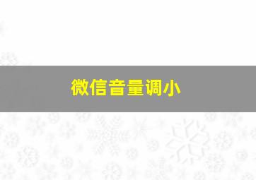 微信音量调小