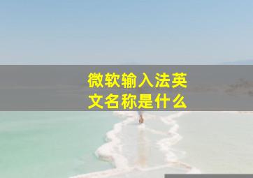 微软输入法英文名称是什么