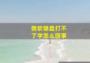 微软键盘打不了字怎么回事