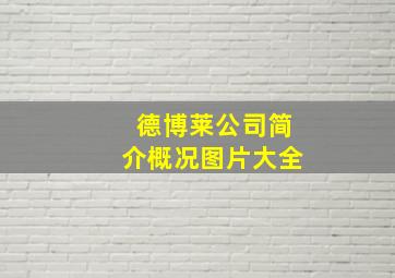 德博莱公司简介概况图片大全