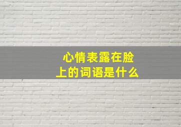 心情表露在脸上的词语是什么