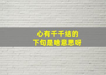 心有千千结的下句是啥意思呀