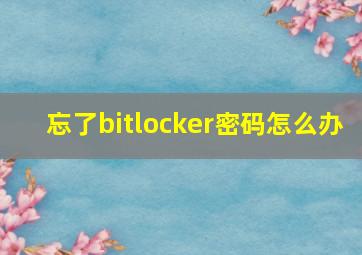 忘了bitlocker密码怎么办