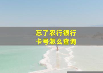 忘了农行银行卡号怎么查询