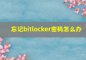 忘记bitlocker密码怎么办