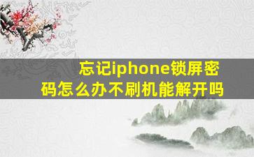 忘记iphone锁屏密码怎么办不刷机能解开吗