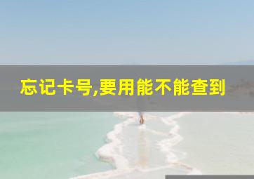 忘记卡号,要用能不能查到