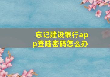 忘记建设银行app登陆密码怎么办