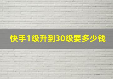 快手1级升到30级要多少钱