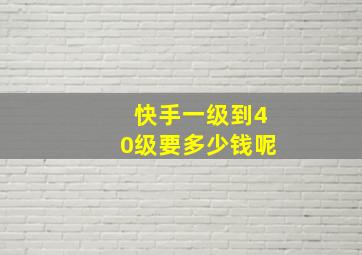 快手一级到40级要多少钱呢