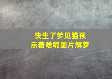 快生了梦见猫预示着啥呢图片解梦