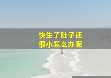 快生了肚子还很小怎么办呢