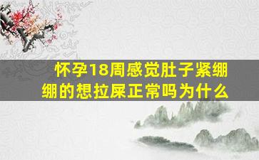 怀孕18周感觉肚子紧绷绷的想拉屎正常吗为什么