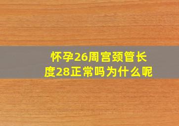 怀孕26周宫颈管长度28正常吗为什么呢