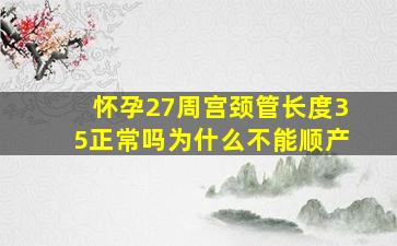 怀孕27周宫颈管长度35正常吗为什么不能顺产