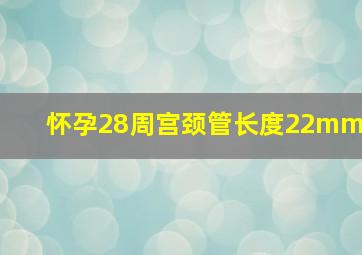 怀孕28周宫颈管长度22mm