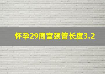 怀孕29周宫颈管长度3.2