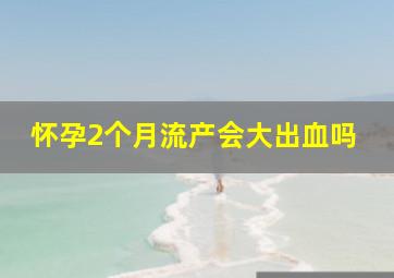 怀孕2个月流产会大出血吗