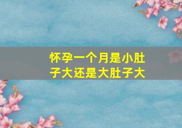 怀孕一个月是小肚子大还是大肚子大